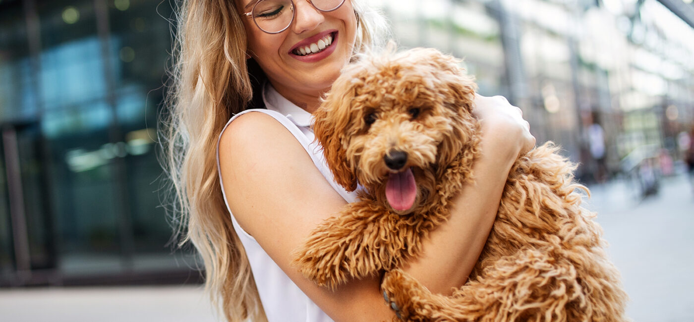 The Importance of Annual Wellness Exams for Dogs and Cats