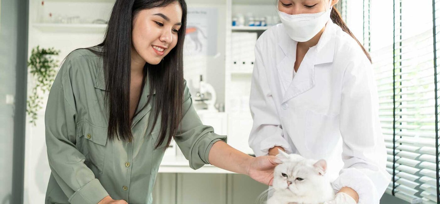 What to Do in a Pet Emergency: A Step-by-Step Guide for Miami Pet Owners